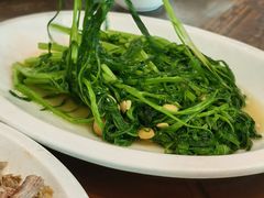 炒应菜-长平肥姐白粥·海鲜打冷