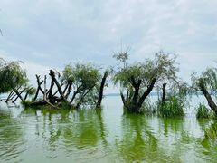 -捞渔河湿地公园