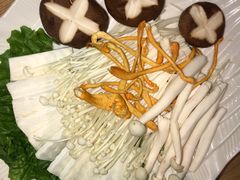 -掂档潮汕牛肉火锅(沈阳万象城店)