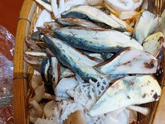 -蘑统田下·野生菌火锅