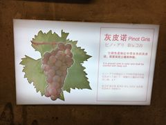 -青岛葡萄酒博物馆