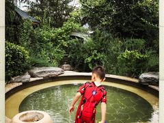 -郑州银基黄帝宫御温泉