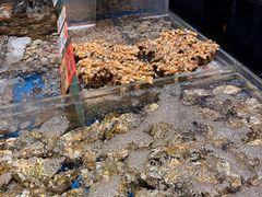 -徐记海鲜·宴会(大唐西市|丰庆店)