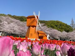 -苏州上方山国家森林公园