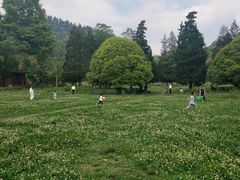-贵州省植物园