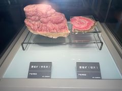 -安徽省地质博物馆