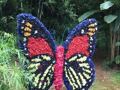 -云南民族大观园