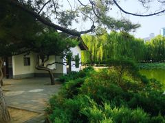 -团结湖公园