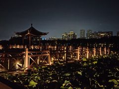 -南宁南湖公园