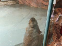 -正佳雨林生态植物园
