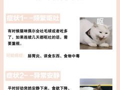 -立德24H动物医院·夜诊·转诊中心·1.5T核磁共振(海珠店)