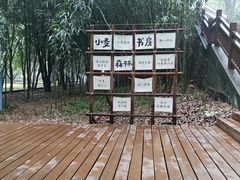 -潜山国家森林公园