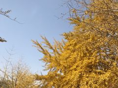 -辽宁大学(崇山校区)