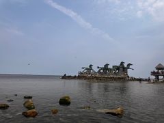 -养马岛旅游度假区