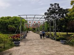 -上海滨江森林公园