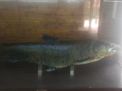 -南京金牛湖风景区