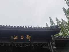 -上海醉白池公园
