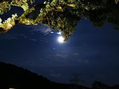 -草山夜未眠景观餐厅