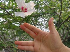 -天朝元辅-徐州民俗博物馆