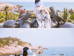 -广东惠东海龟国家级自然保护区