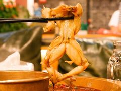 -哥老官重庆美蛙鱼头(龙湖杭州金沙天街店)