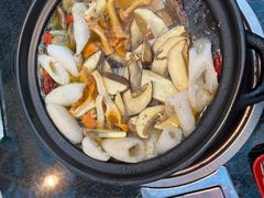 -蘑统田下·野生菌火锅