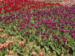 -玄武湖景区-情侣园游乐场