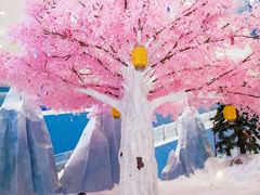 -长沙湘江欢乐雪域