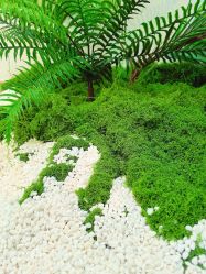 -FUMEIHUI·科技美肤·美体SPA