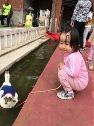 -上美四季动物农场