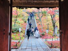 -常寂光寺