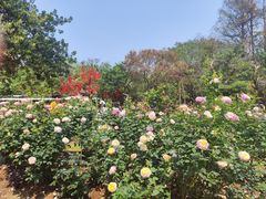 -人民公园(罗湖区)