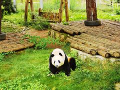 -西安秦岭野生动物园