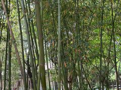 -西安关中民俗艺术博物院