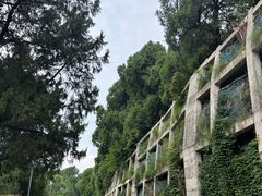 -七曲山风景区