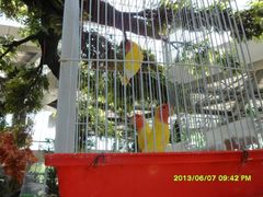 百鸟园-鄂尔多斯野生动物园