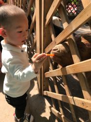 -萌宠亲子动物乐园(槐房万达店)