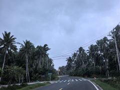 -东郊椰林