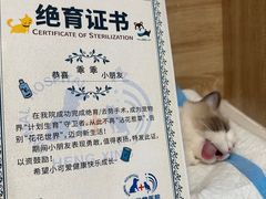 -恒幸动物医院·急重症转诊中心·神经内外科·CT核磁