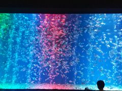 -成都浩海立方海洋公园