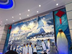 -帝企鹅自助餐厅•儿童岛•真企鹅(长隆企鹅酒店)