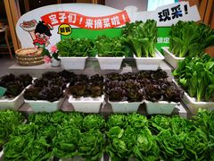 -九孔·筒骨莲藕汤锅(大明宫万达店)