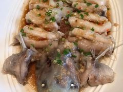 东坡江团鱼-眉州东坡(通州店)
