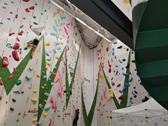 -绿壁虎攀岩基地(Tcar店)
