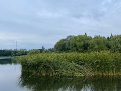 -溱湖国家湿地公园