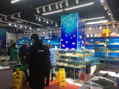 -岳各庄批发市场(西四环中路店)