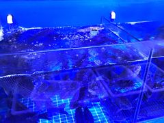 -永旺黄岛购物中心