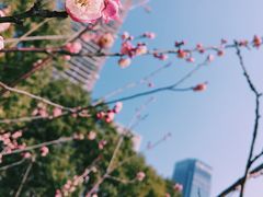 -天鹅湖体育公园