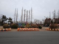 -上海长兴岛郊野公园