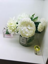 -美肤盾祛痘·问题肌头疗管理中心